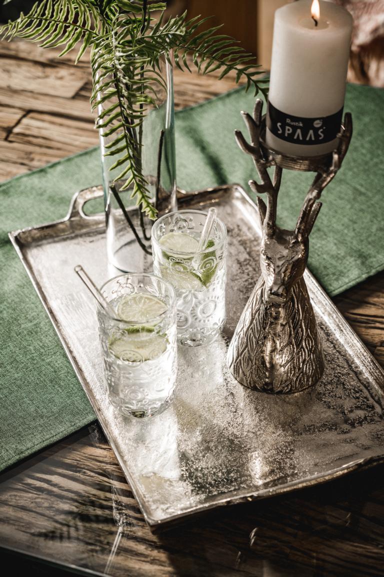 MN_Ambiente_03_05_2021-00025 Tablett Rechteckig mit Griffen Silber Metall