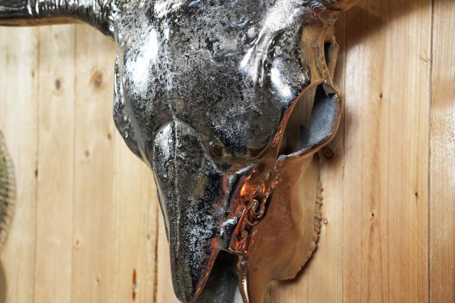 MN-WD-3033-Stierkopf-XXL-aus-Metall-Silber-zum-Aufh-ngen-5-fotor-20231220123250 Stierkopf XXL aus Metall in der Farbe Silber zum Aufhängen an der Wand