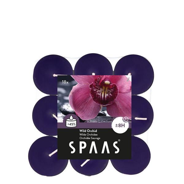 K800_Spaas_5411708180713_0338109-184_ProductPhoto_HRes_ListSearch_1 Teelichter Duft Wilde Orchidee 18 Stück