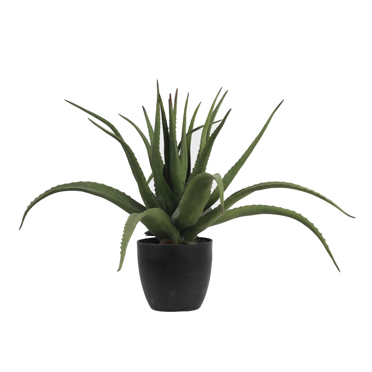 Aloe Vera Pflanze Kunstpflanze 55 cm