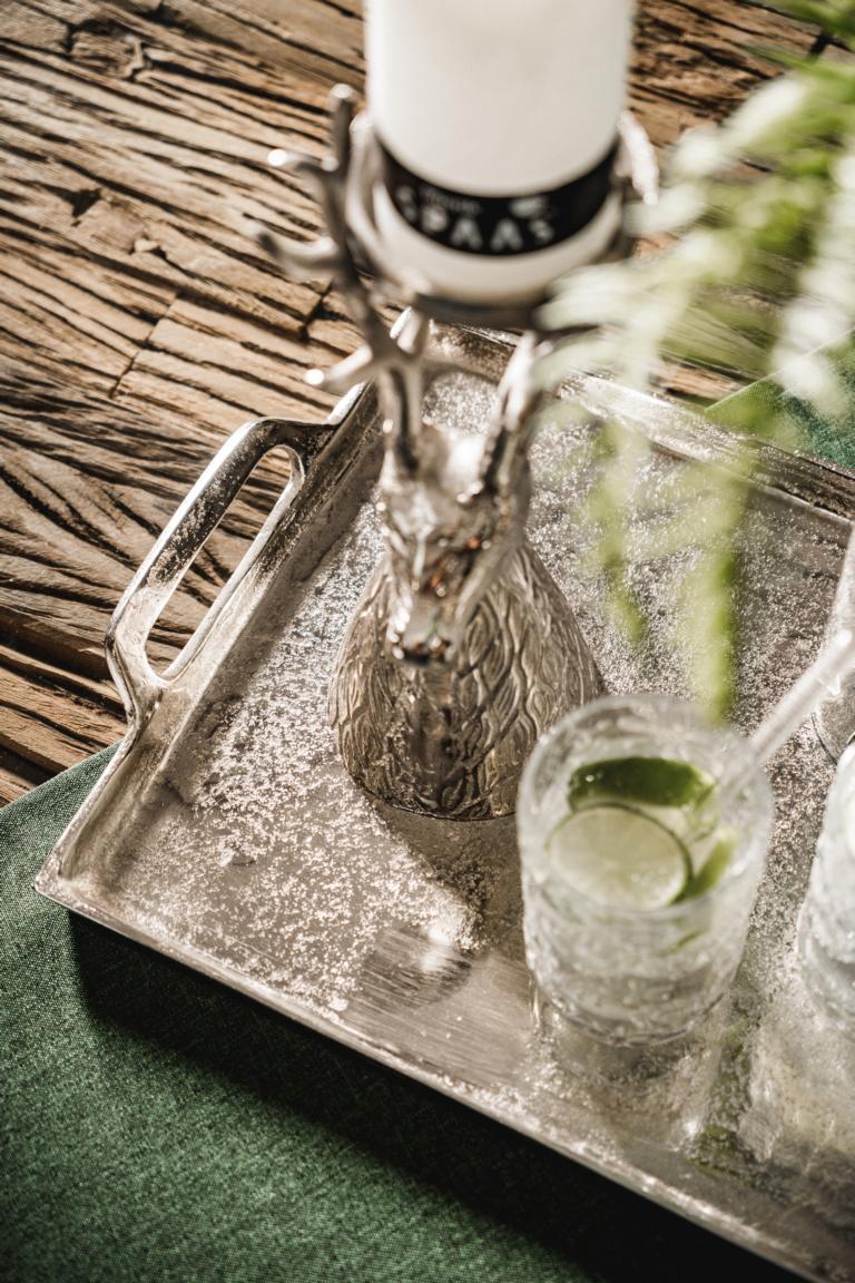 MN_Ambiente_03_05_2021-00026 Tablett Rechteckig mit Griffen Silber Metall