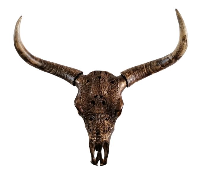 Stierkopf-Bullenschdel-XXL-Polyresin-Wanddekoration-MN-CH-4107 Stierkopf Wanddekoration XXL 71x21x72 cm