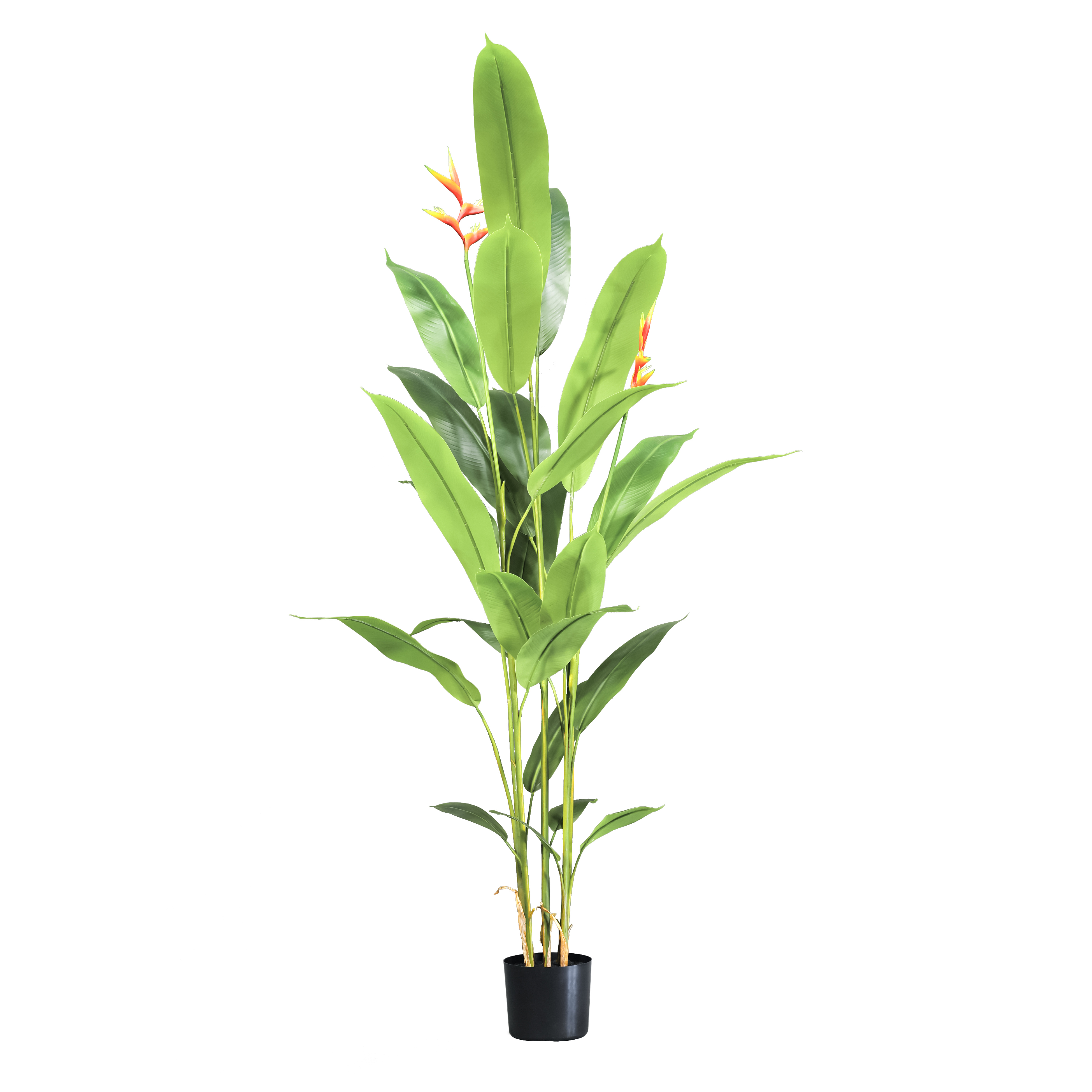 Paradiesvogelpflanze Strelitzie Kunstpflanze 160 cm Künstliche Strelitzie Kunstpflanze Grün mit Blüte Paradiesvogelblume